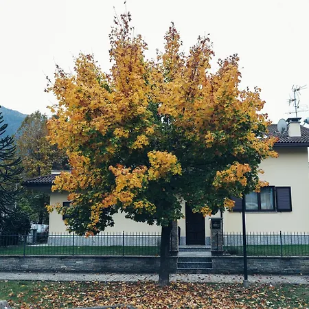 531 Apartment